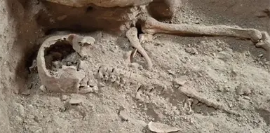 Hayan esqueleto de D&acute;Artagnan