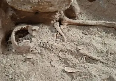 Hayan esqueleto de D&acute;Artagnan