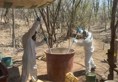 Desmantela Semar laboratorio de metanfetaminas Desmantela Semar laboratorio de metanfetaminas