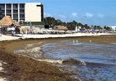 Playas reciben Semana Santa entre sargazo y derrames Playas reciben Semana Santa entre sargazo y derrames