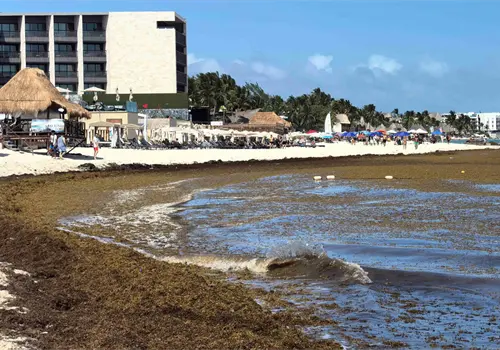 Playas reciben Semana Santa entre sargazo y derrames