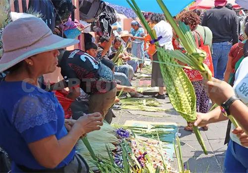 Palmas, tradición que llena las calles de la ciudad Palmas, tradición que llena las calles de la ciudad