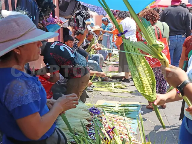 Palmas, tradici&oacute;n que llena las calles de la ciudad