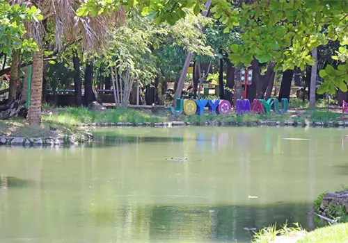 Joyyo Mayu: el pulm&oacute;n que invita al descanso