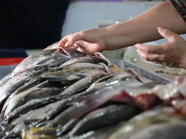 No hay restricciones para el consumo de mariscos No hay restricciones para el consumo de mariscos