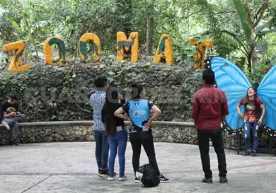 Hasta 15 mil personas podr&iacute;an visitar el ZooMAT