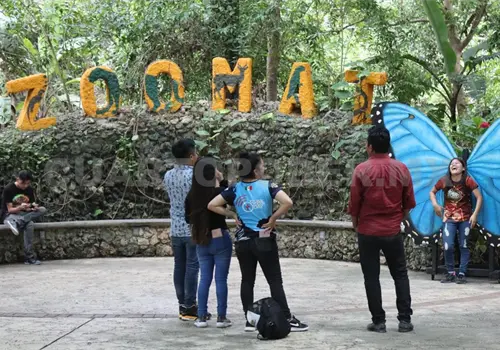 Hasta 15 mil personas podrían visitar el ZooMAT Hasta 15 mil personas podrían visitar el ZooMAT