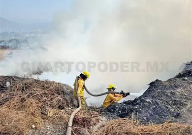Incendio moviliza a 80 brigadistas