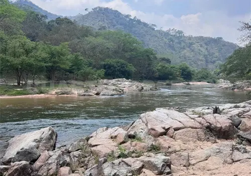 R&iacute;o Negro, una opci&oacute;n natural de turismo
