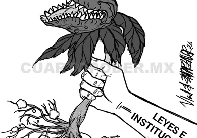 Ley para proteger la vida y la dignidad de mujeres