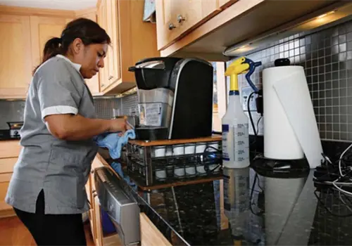 M&aacute;s de 2.5 millones trabajan en el hogar