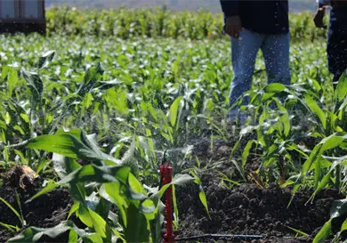 Negocia Conagua cesi&oacute;n de agua de productores