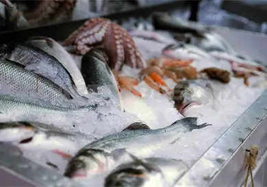 No a mariscos en cajuela; temperatura podr&iacute;a llegar a 50 &deg;C