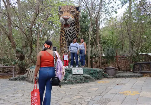 ZooMAT: experiencia natural imperdible