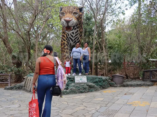 ZooMAT: experiencia natural imperdible ZooMAT: experiencia natural imperdible