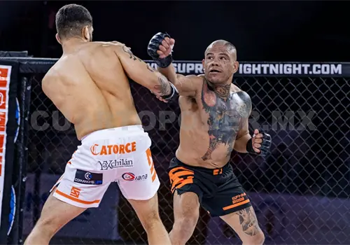 "Pashá", listo para liberar a la bestia "Pashá", listo para liberar a la bestia