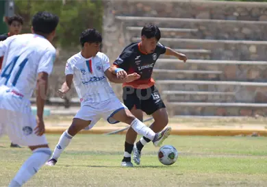 Lechuzas conquista la Ciudad de los Vientos Lechuzas conquista la Ciudad de los Vientos