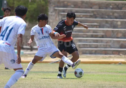 Lechuzas conquista la Ciudad de los Vientos Lechuzas conquista la Ciudad de los Vientos