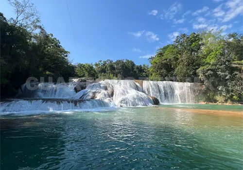 Esperan repunte Palenque y Cascadas de Agua Azul Esperan repunte Palenque y Cascadas de Agua Azul