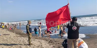 Alertan por oleaje y medusas en playas