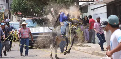 Celebran la tradicional quema de
Judas Celebran la tradicional quema de
Judas