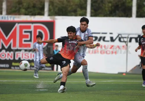Lechuzas, con vuelo rumbo a la liguilla Lechuzas, con vuelo rumbo a la liguilla