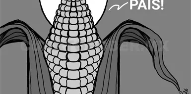 El campo mexicano, momentos decisivos