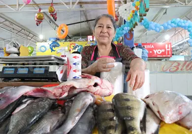 Justicia social para trabajadores independientes