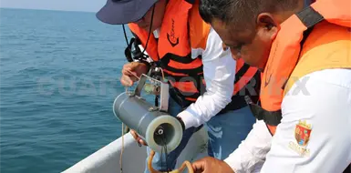 Sin rastro de toxinas en moluscos bivalvos