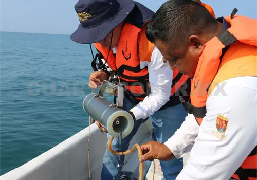 Sin rastro de toxinas en moluscos bivalvos