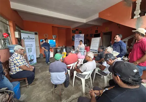 Piden apoyos para semillas y fertilizantes