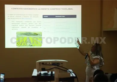 Exposici&oacute;n temporal sobre maguey y mezcal