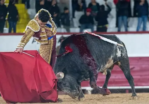 "El Galo" y Gilio triunfan en La Coleta "El Galo" y Gilio triunfan en La Coleta