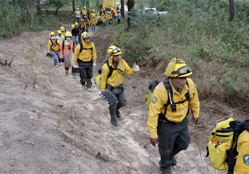 Brigadistas: entre v&iacute;boras y asfixia