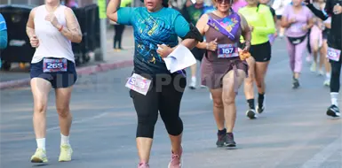 Todo listo para Conejos de Corazón 2026 Todo listo para Conejos de Corazón 2026