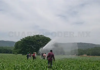 Llaman a productores a regularizar sus concesiones