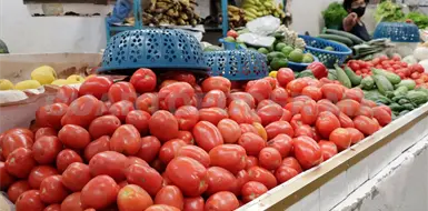 Precio del jitomate est&aacute; por las nubes