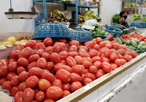 Precio del jitomate está por las nubes Precio del jitomate está por las nubes