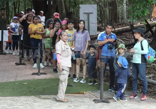 Más de 33 mil vacacionistas en el ZooMAT Más de 33 mil vacacionistas en el ZooMAT