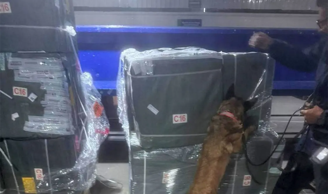 Los cigarros confiscados permanecerán bajo resguardo del Departamento de Centros Tácticos de la Aduana. Cortesía