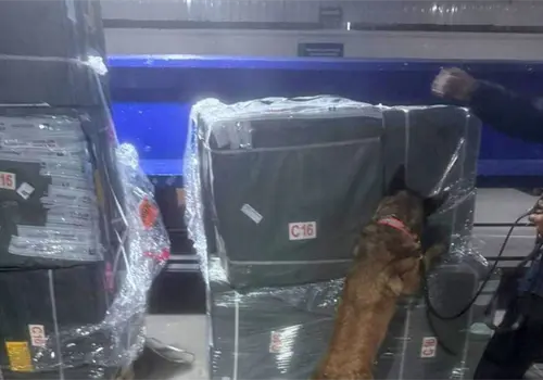 Confiscan casi dos millones de cigarros ilegales