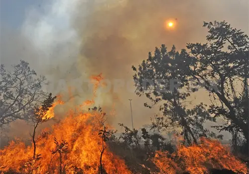 Chiapas en séptimo lugar por incendios forestales Chiapas en séptimo lugar por incendios forestales