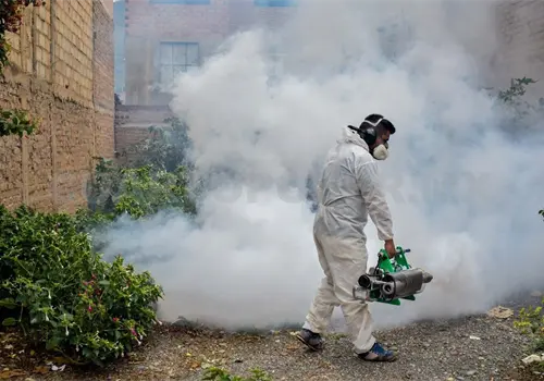 Realizan jornada contra dengue y chikungunya Realizan jornada contra dengue y chikungunya