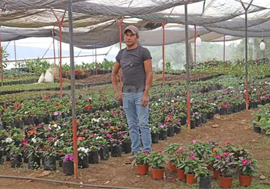 Apuesta Berrioz&aacute;bal por bonos de carbono