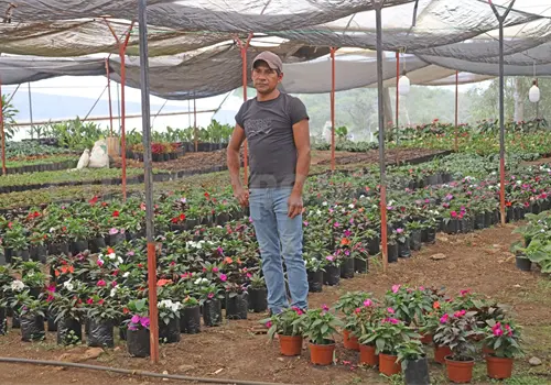 Apuesta Berriozábal por bonos de carbono Apuesta Berriozábal por bonos de carbono