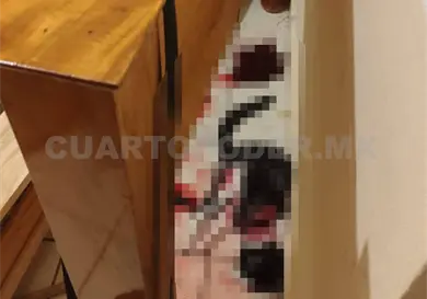 Caso de maltrato animal debe ser investigado