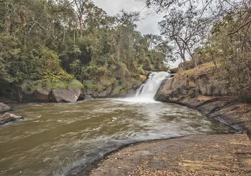 No se debe jugar con la naturaleza: director No se debe jugar con la naturaleza: director