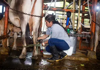 Fortalecen mujeres sistemas productivos Fortalecen mujeres sistemas productivos