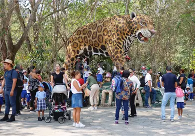 El zool&oacute;gico podr&iacute;a tener un telef&eacute;rico