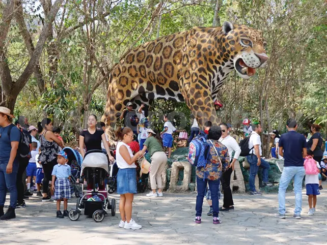 El zoológico podría tener un teleférico El zoológico podría tener un teleférico